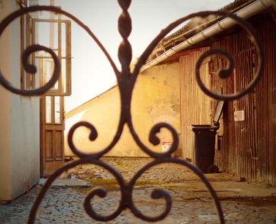 Dobré ráno - fotografie, která získala v hlasování 2. místo