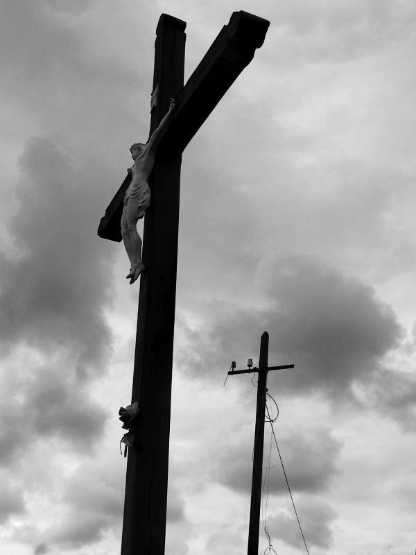 Kontakt - vítězná fotografie ankety o nejlepší fotografii výstavy