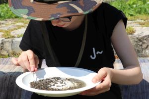 najdu granát - dívka v tričku s logem jaboku drží talíř s drobnými kamínky a hledá mezi nimi granáty