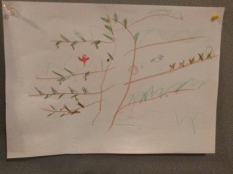 Ilustrace k příběhu o Noemově arše (olivový strom, ze kterého holubice přinesla ratolest) - autorkou je Klárka Ilustrace k příběhu o Noemově arše (olivový strom, ze kterého holubice přinesla ratolest) - autorkou je Klárka