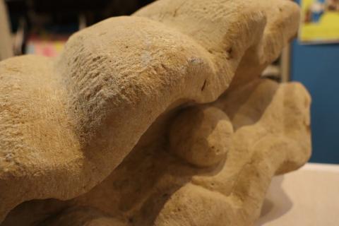 Výstava Tvoříme Jabok: Eva Cerniňáková - Lastura s perlou ""